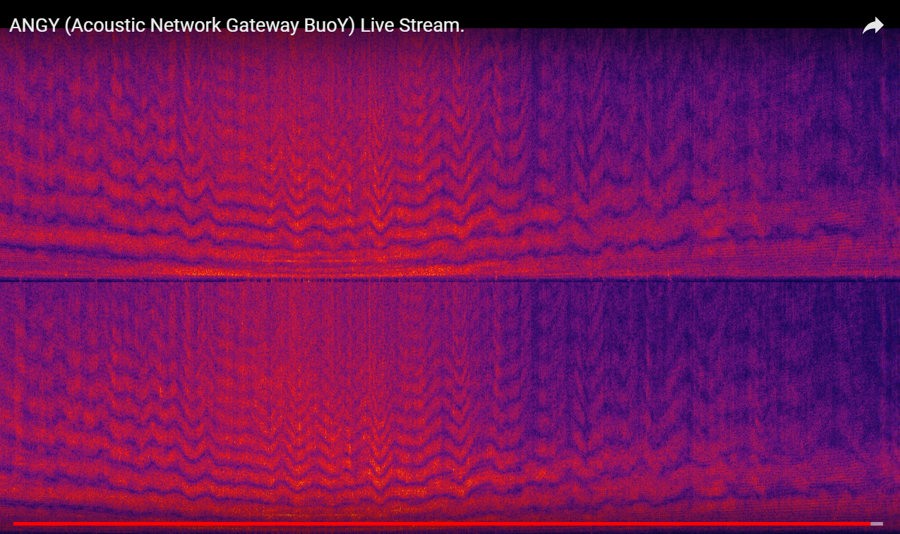 ANGY YouTube Stream Spectrogram Of A Boat Passing