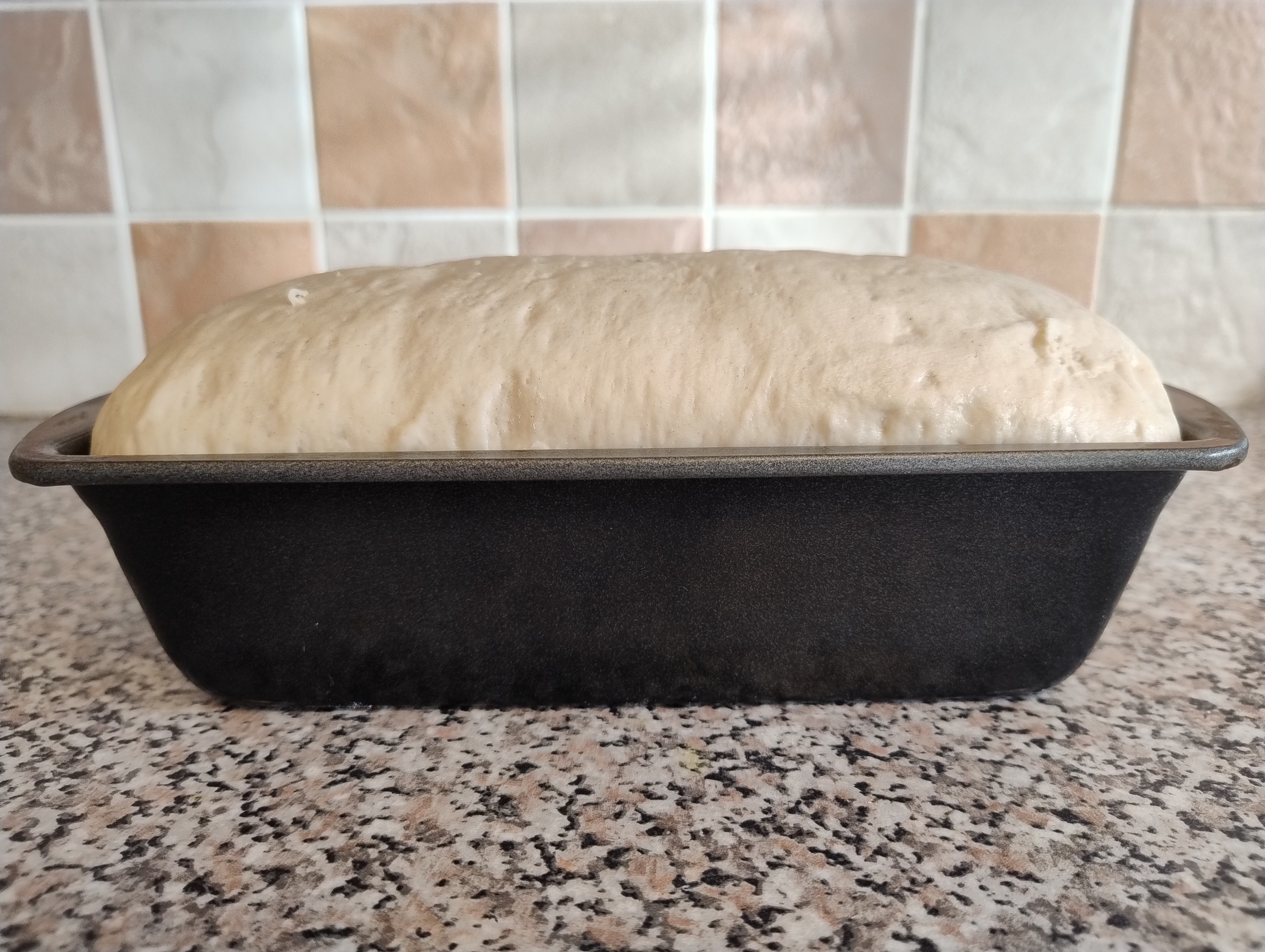 Proved Rolled Loaf In Tin Side View