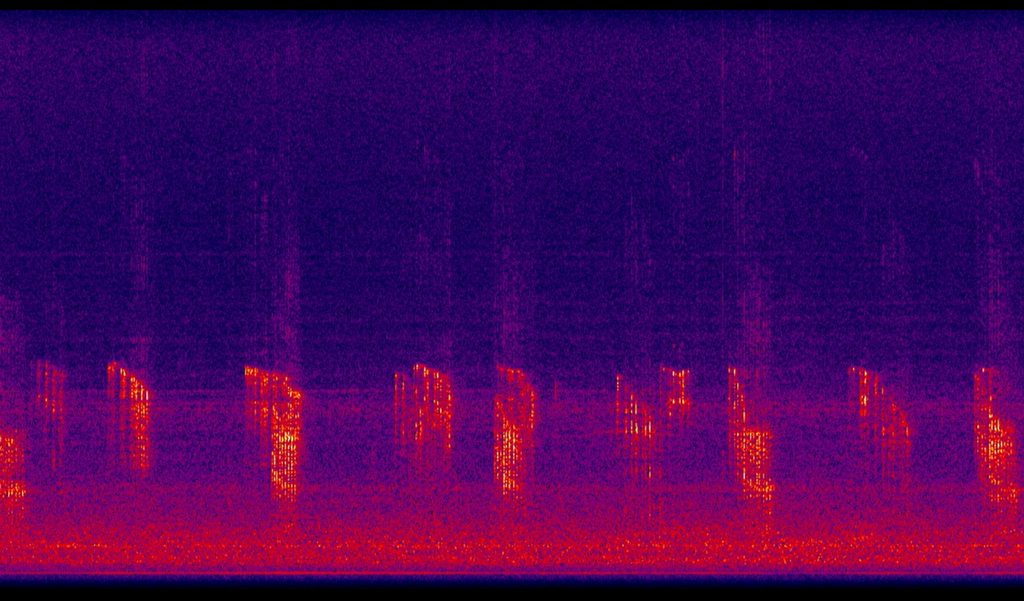 Spectrogram